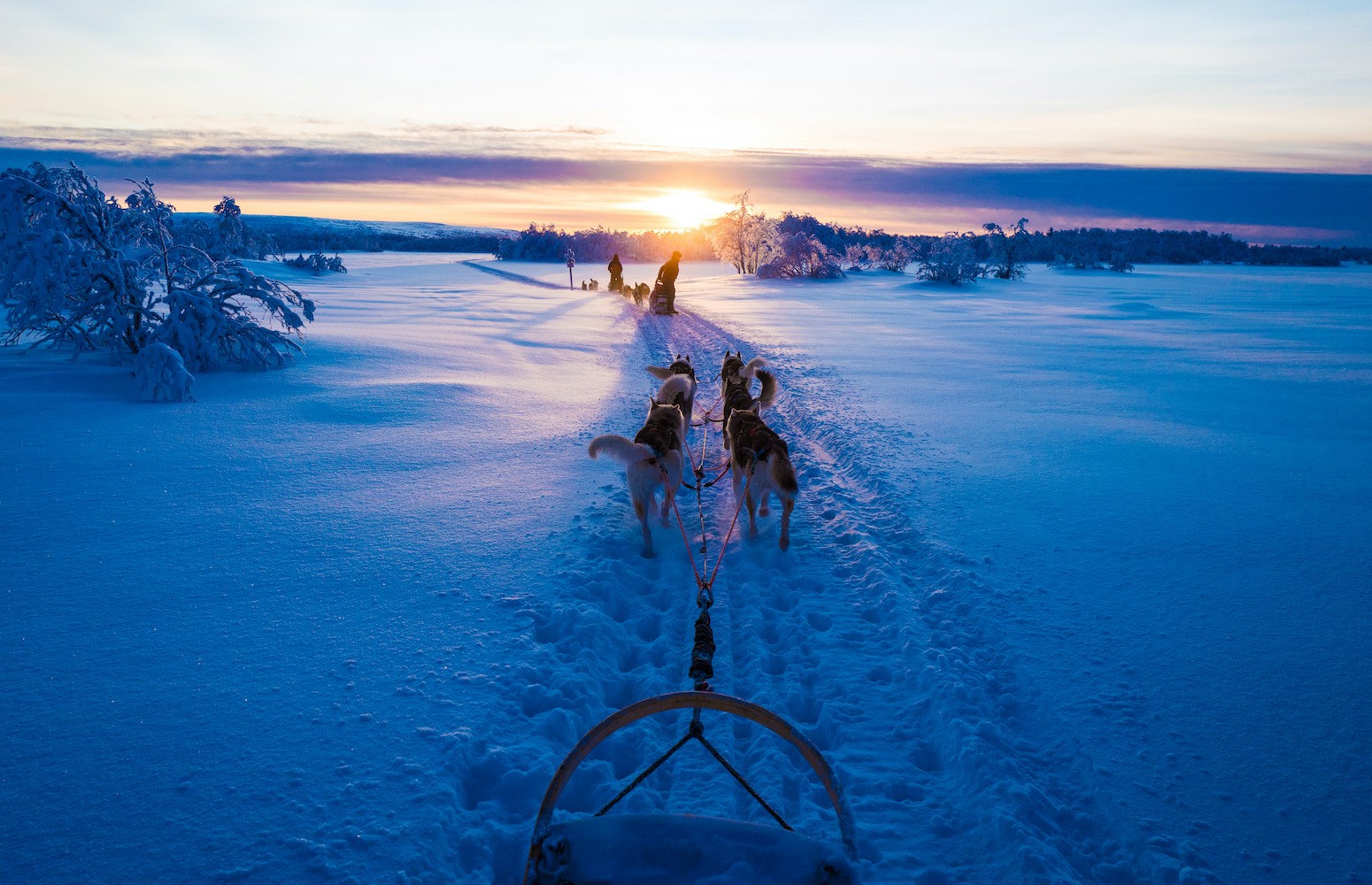 trineo de huskies rovaniemi